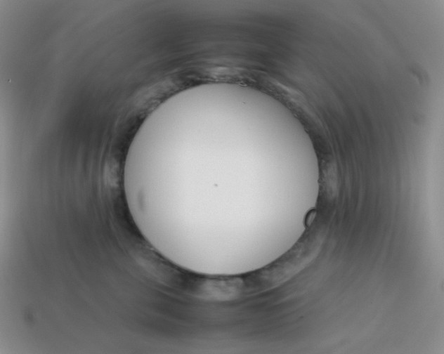 X0000113750571200910141029