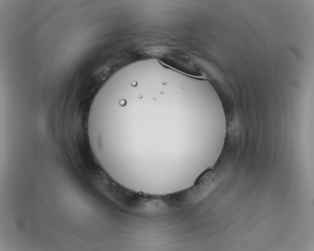 X0000113750572200910141029