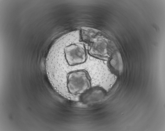 X0000113750573200910141029