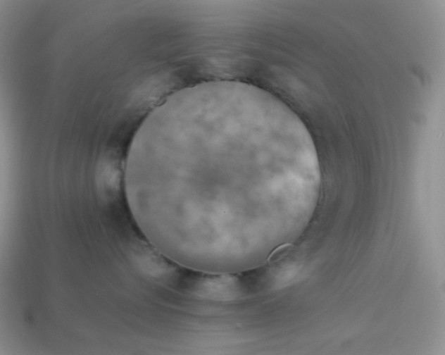 X0000113750576200910141029