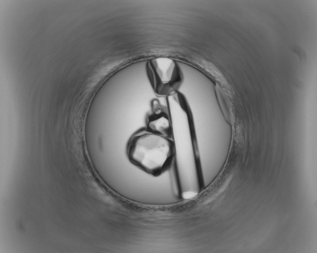 X0000113750577200910141028