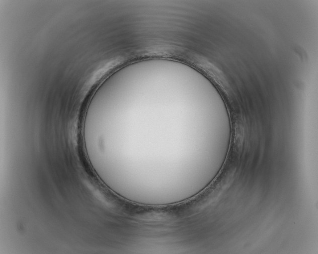 X0000113750578200910141028