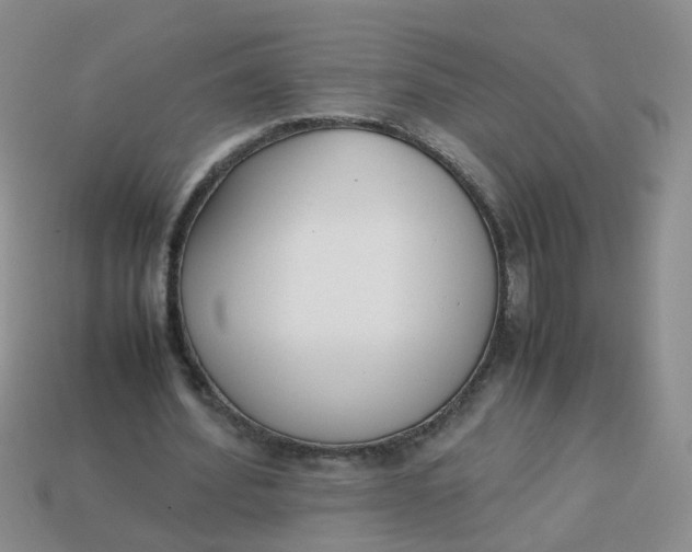 X0000113750580200910141028