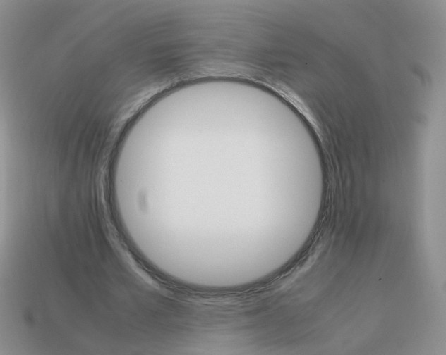 X0000113750581200910141028