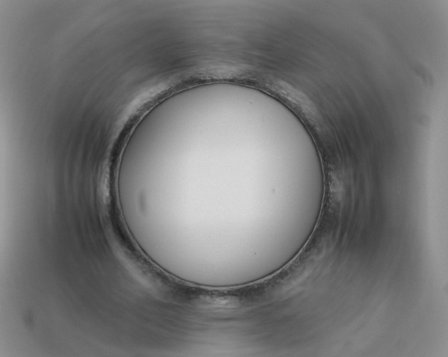 X0000113750582200910141028