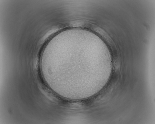 X0000113750583200910141028