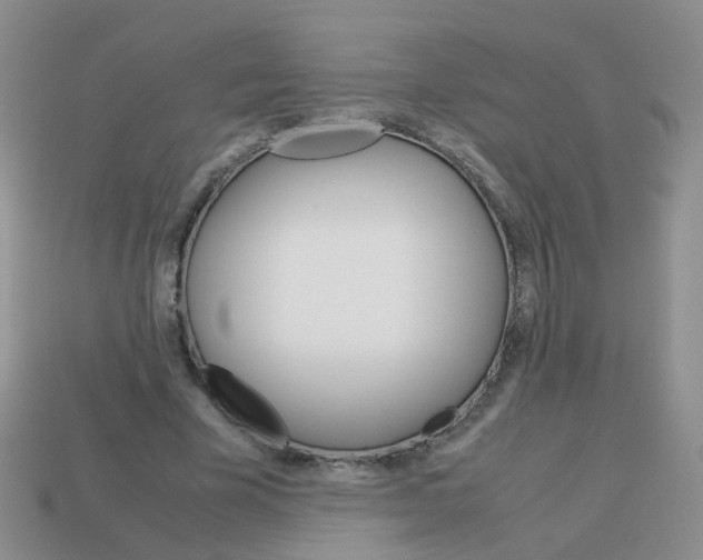 X0000113750585200910141028