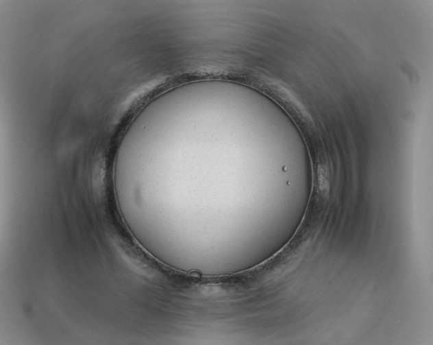 X0000113750588200910141028