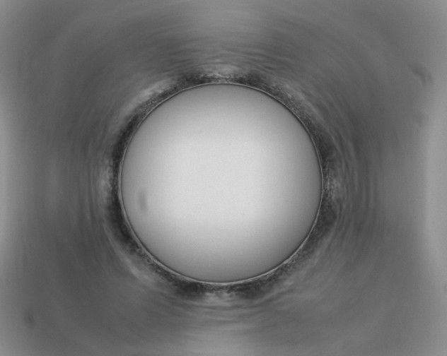 X0000113750591200910141028