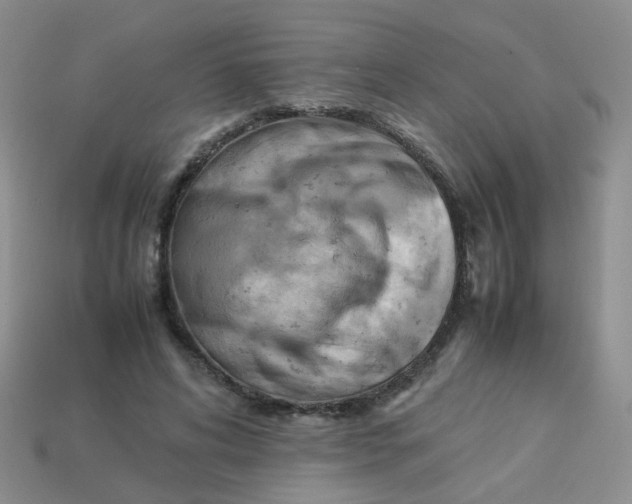 X0000113750592200910141028