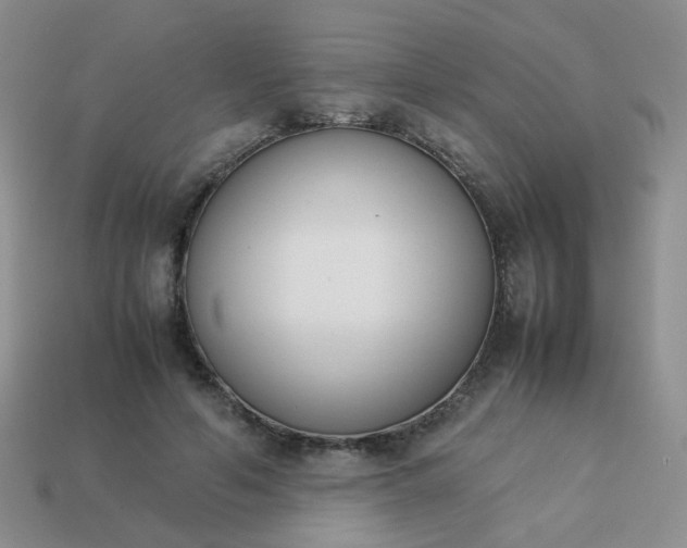 X0000113750594200910141028