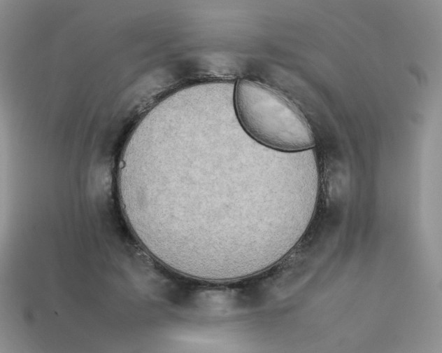 X0000113750595200910141028