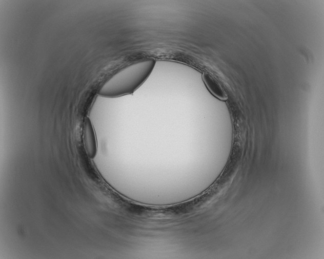 X0000113750597200910141028