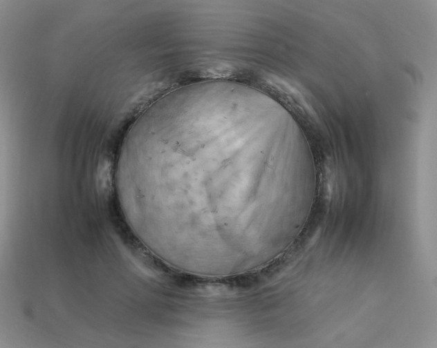 X0000113750598200910141028