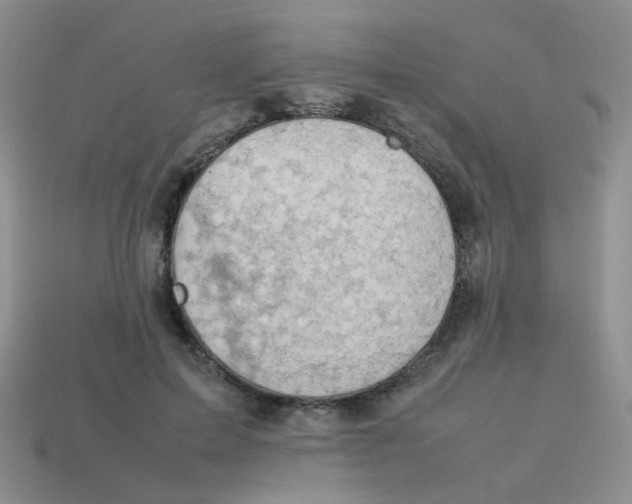 X0000113750599200910141028