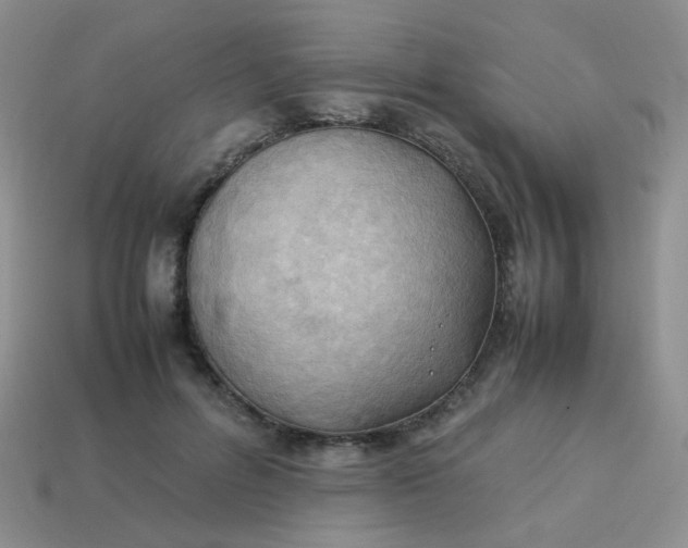 X0000113750600200910141028