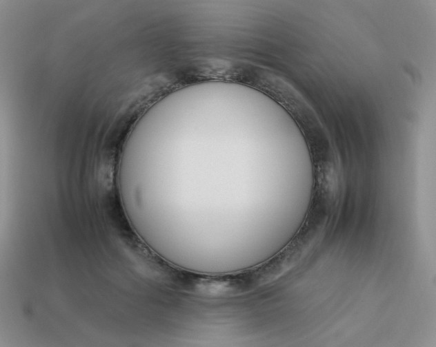 X0000113750602200910141028