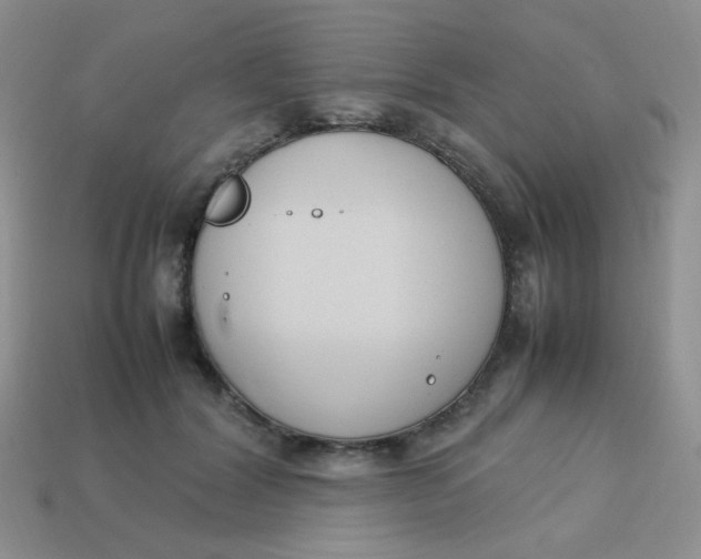 X0000113750604200910141028