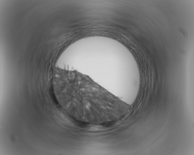 X0000113750605200910141028