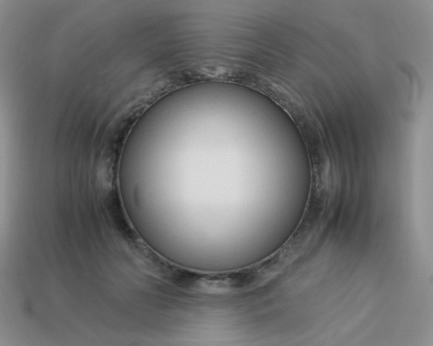 X0000113750606200910141028