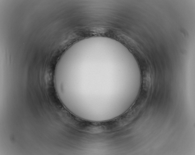 X0000113750608200910141028