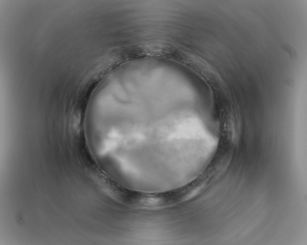 X0000113750610200910141028