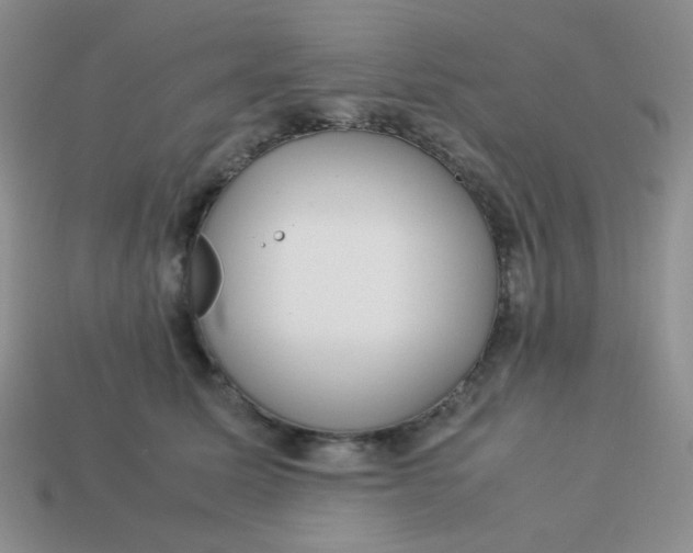 X0000113750611200910141028