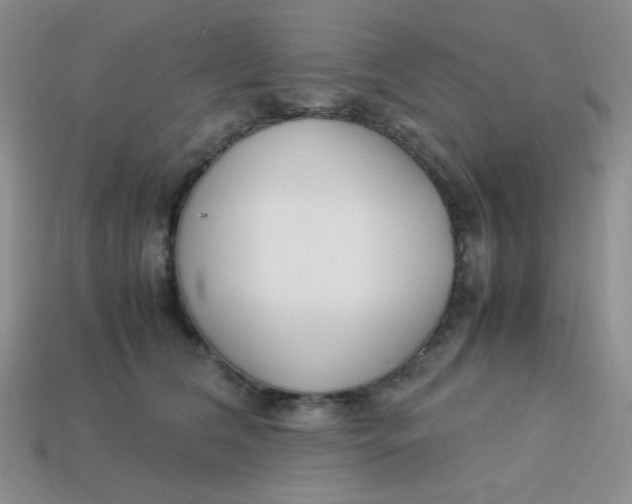 X0000113750612200910141028