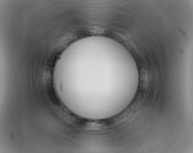 X0000113750614200910141027