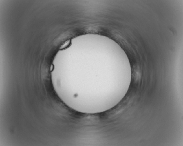 X0000113750619200910141027