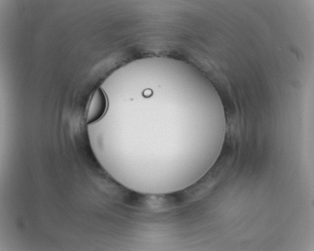 X0000113750623200910141027