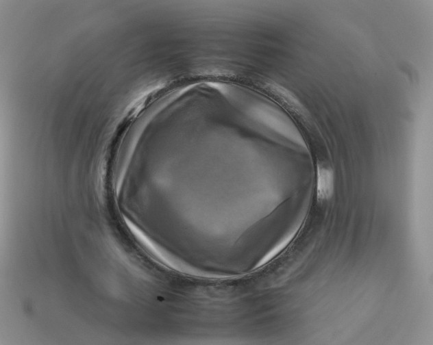 X0000113750627200910141027