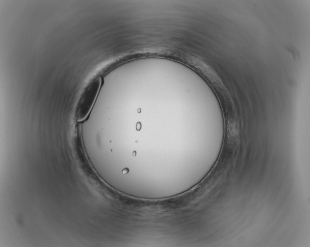 X0000113750628200910141027