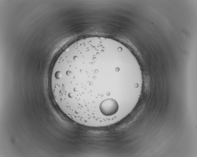 X0000113750629200910141027