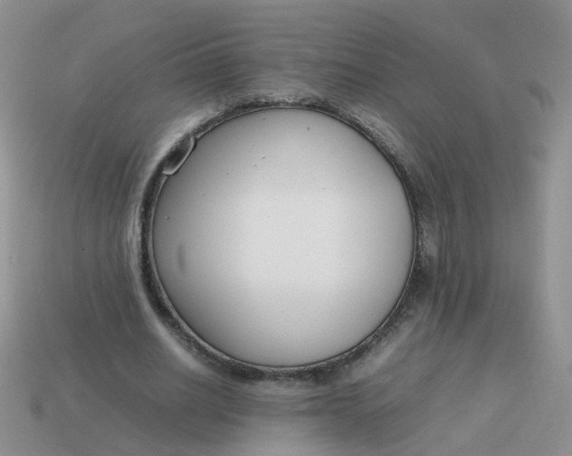 X0000113750630200910141027