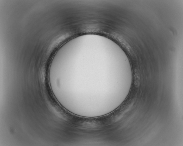 X0000113750631200910141027