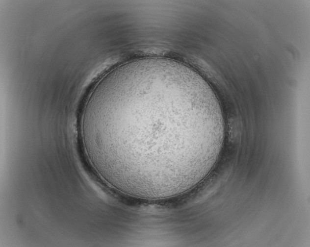 X0000113750634200910141027