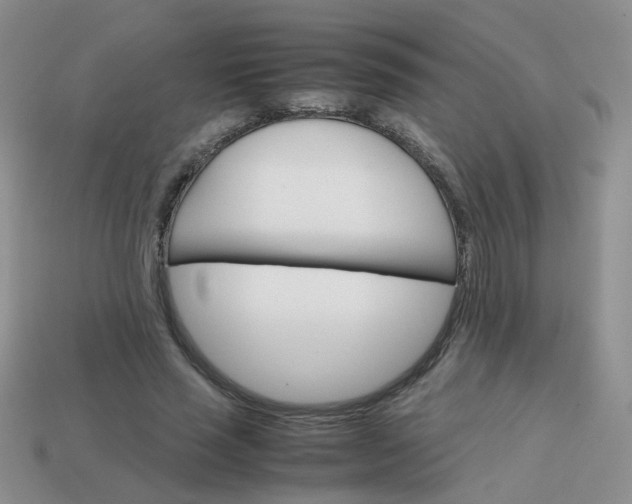 X0000113750637200910141027