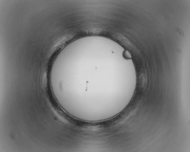 X0000113750638200910141027