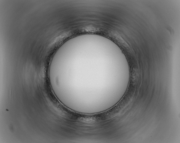 X0000113750639200910141027