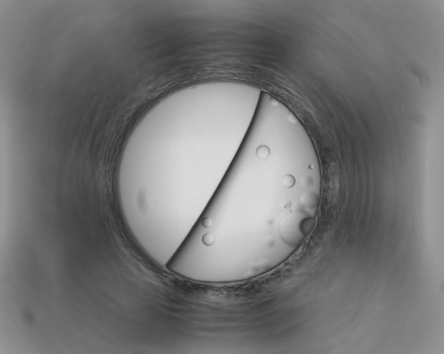 X0000113750641200910141027