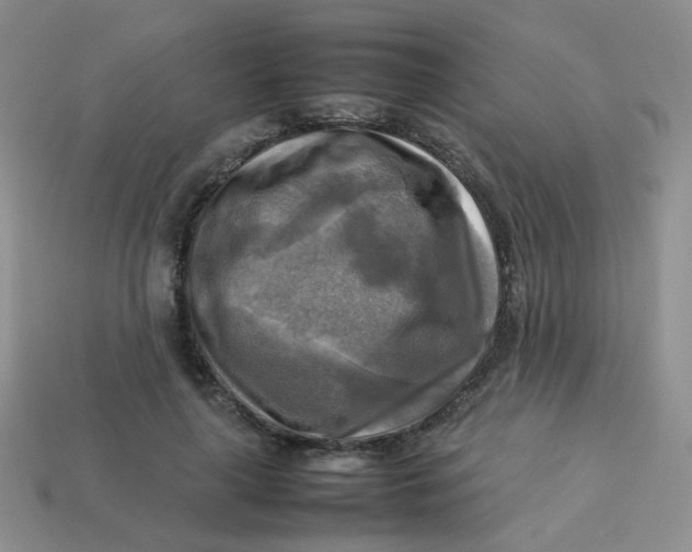 X0000113750643200910141027