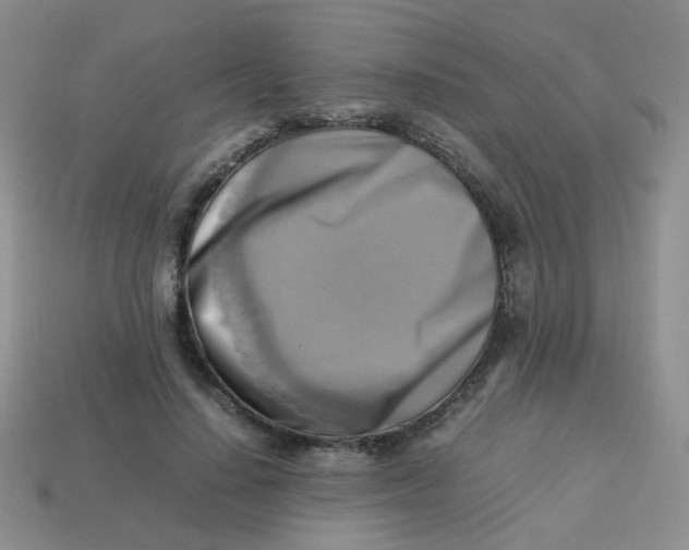 X0000113750644200910141027