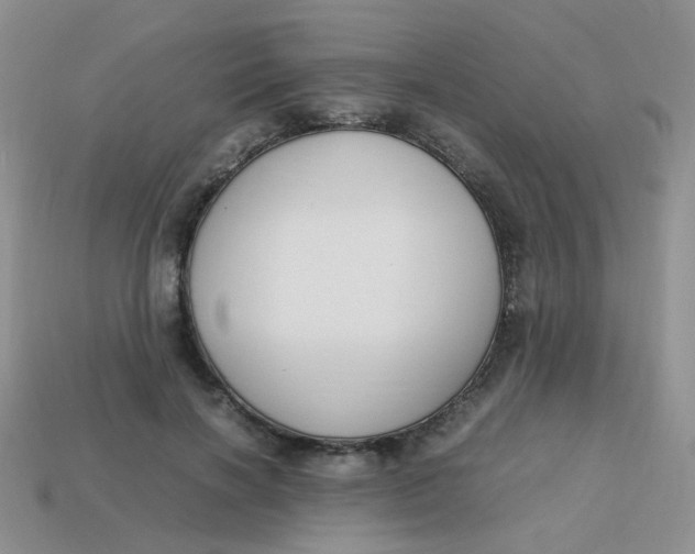 X0000113750646200910141027