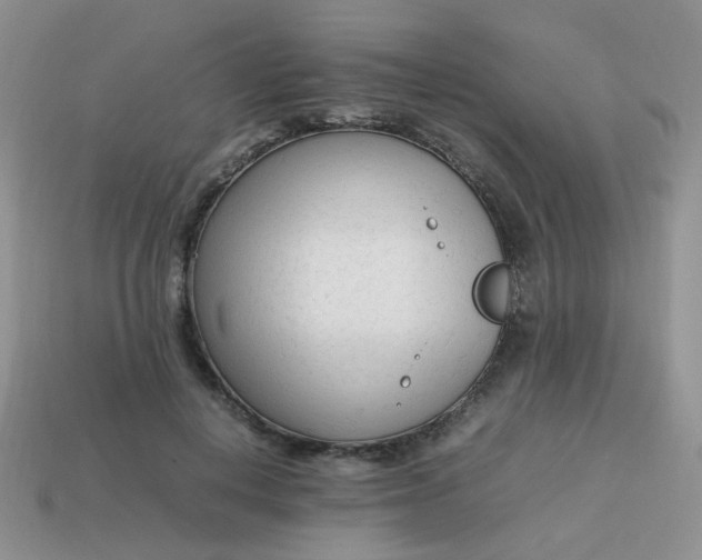 X0000113750648200910141027