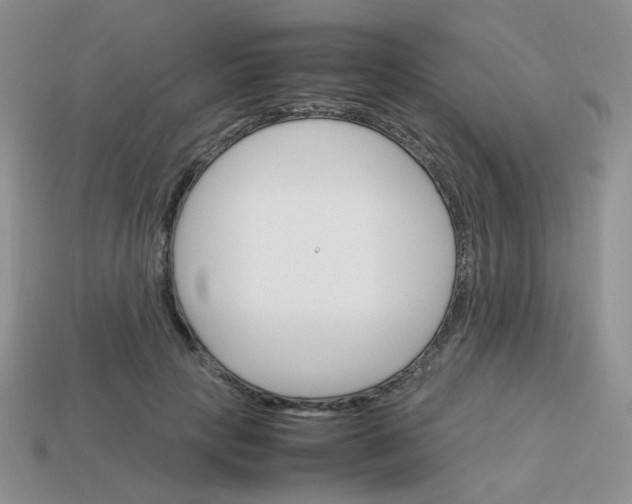 X0000113750649200910141027