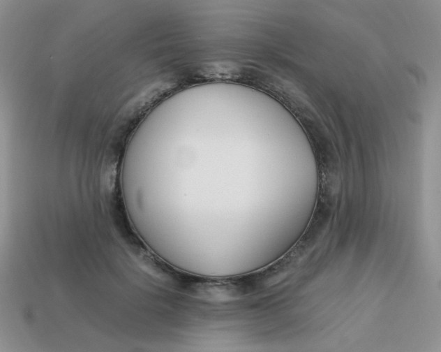 X0000113750652200910141027