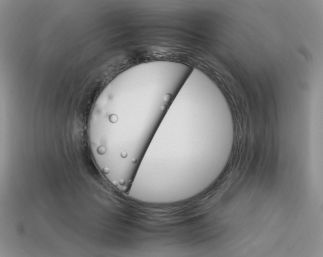 X0000113750653200910141027