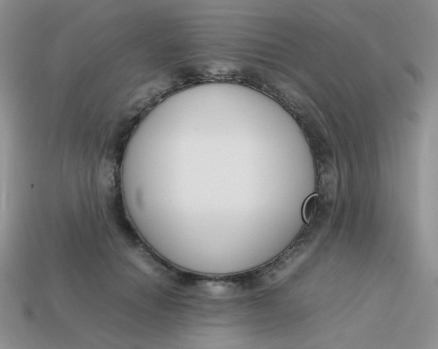 X0000113750654200910141027