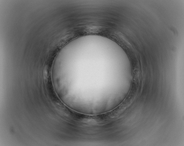 X0000113750655200910141027